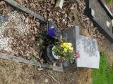 image of grave number 684376